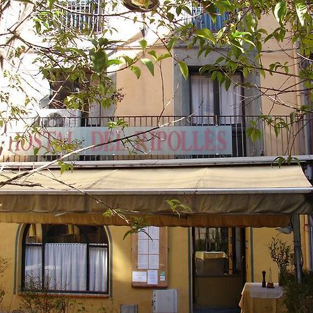 Hostal Del Ripolles Exterior photo